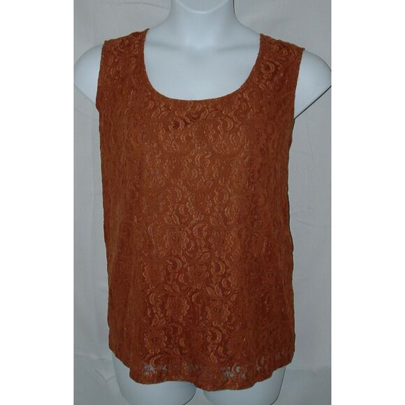 SUSAN GRAVER Bronze Plus Sz 2X Stretchy Lacy Cami & Tunic Shirt 2 pc Set NEW NWT - Picture 5 of 8